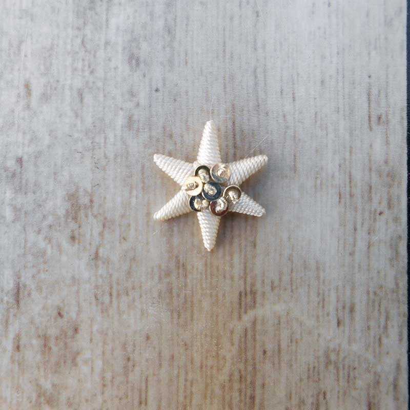 Embroidered silver star in thread with 6 points