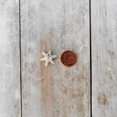 Embroidered star in silver string length