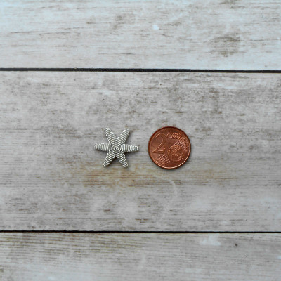 Embroidered silver star in thread